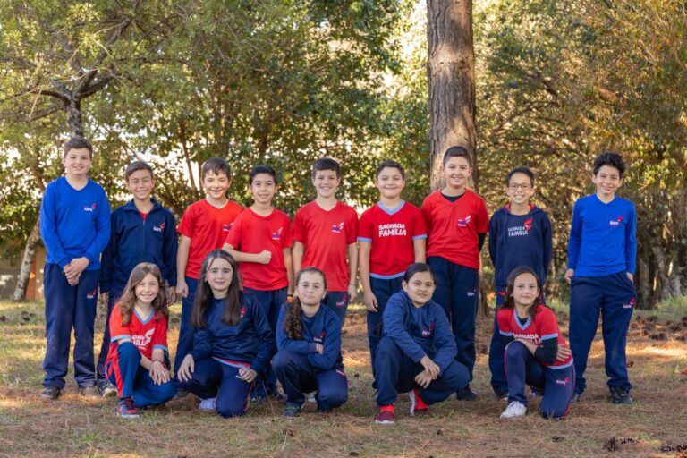 Safa 2025 - 0779 (4)